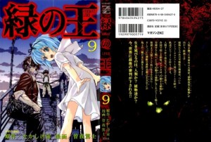 midori 09-001